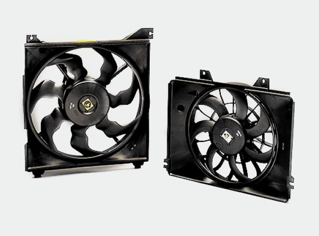 Fan