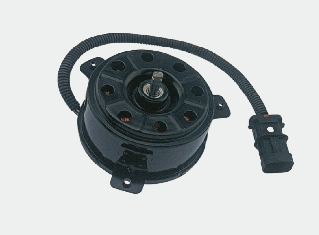 Motor