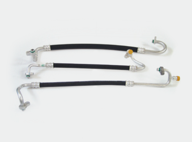 Hose